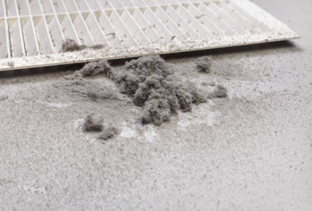 Best Best Air Duct Cleaning Company  in Lone Jack, MO