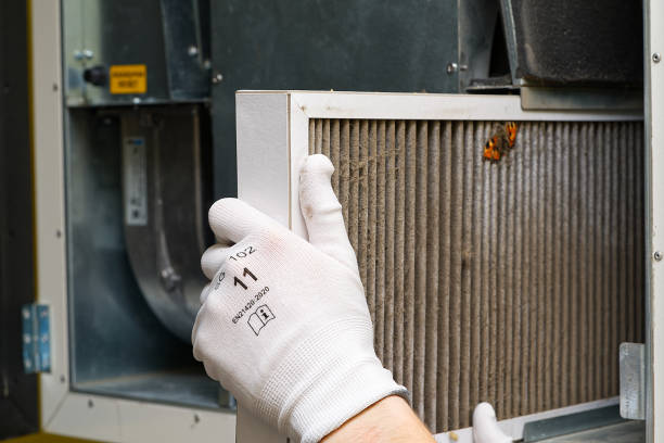 Best Air Duct Cleaning Near Me  in Lone Jack, MO