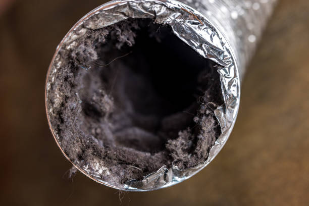  Lone Jack, MO Airduct Cleaning Pros