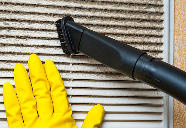 Best Professional Duct Cleaning Services  in Lone Jack, MO